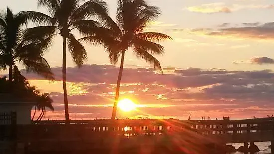 Apartment Coconut Beach Resort Key West United States